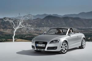 Audi TT Roadster 2007 года  (WW)